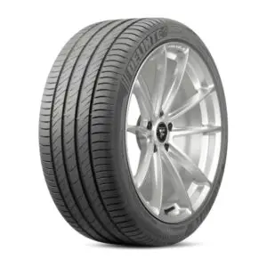 Delinte 225/30R20 85W XL DS2 2026 Üretim Lastiği